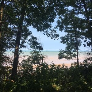 Meet your Posher, Maddy